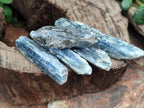 Natural Kyanite Crystals x 1.95 Kg Lot From Karoi, Zimbabwe - Toprock Gemstones and Minerals 
