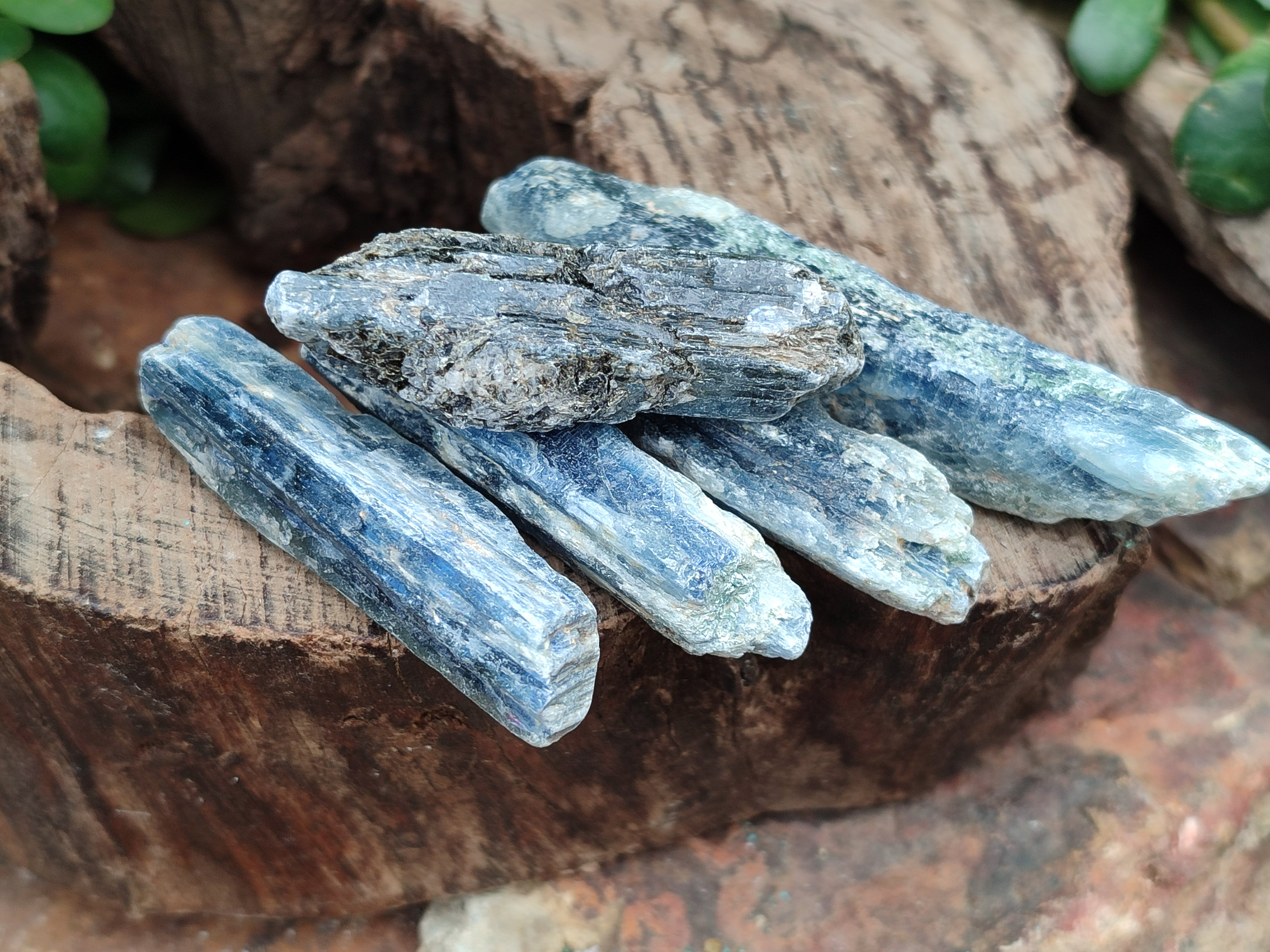 Natural Kyanite Crystals x 1.95 Kg Lot From Karoi, Zimbabwe - Toprock Gemstones and Minerals 