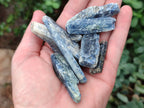 Natural Kyanite Crystals x 1.95 Kg Lot From Karoi, Zimbabwe - Toprock Gemstones and Minerals 