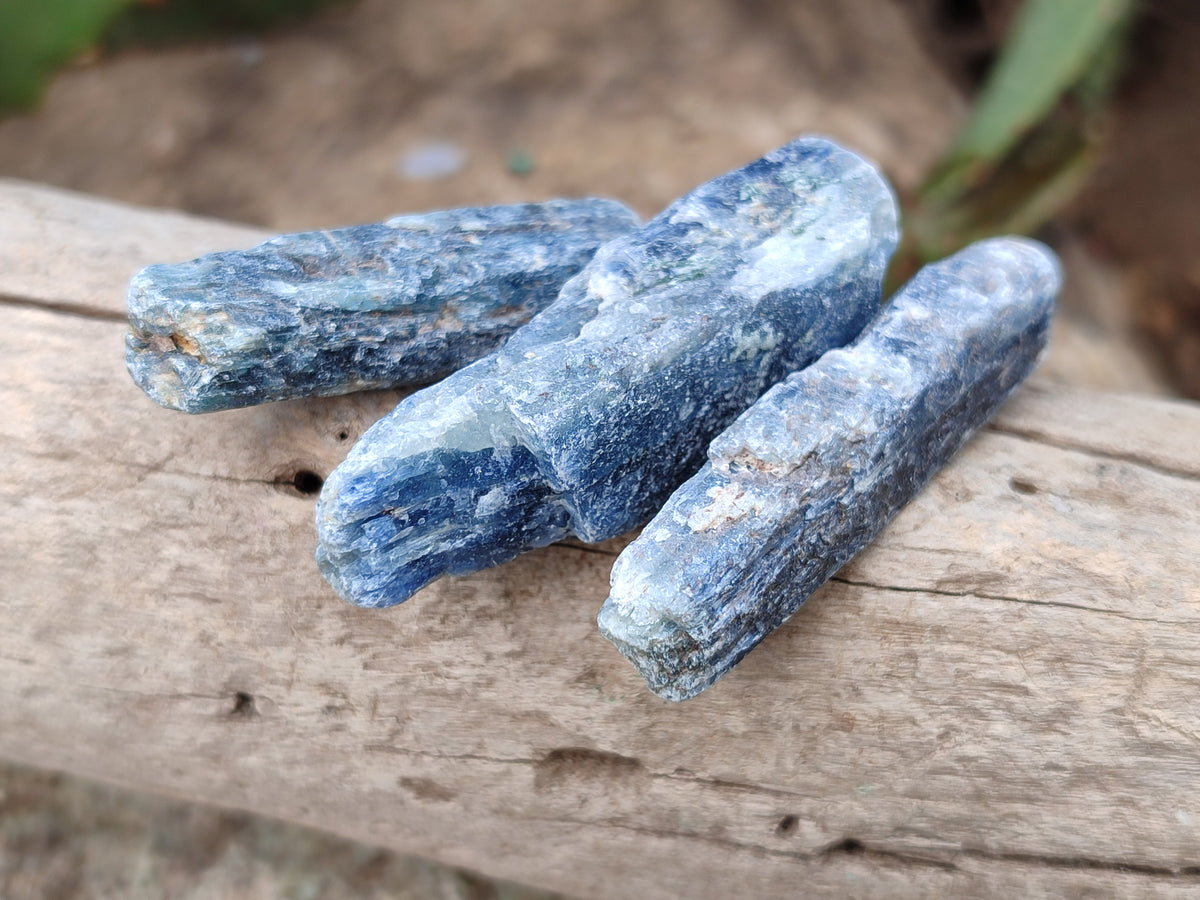 Natural Kyanite Crystals x 1.95 Kg Lot From Karoi, Zimbabwe - Toprock Gemstones and Minerals 