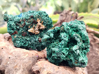 Natural Silky Malachite Specimens x 9 From Kasompe, Congo - Toprock Gemstones and Minerals 