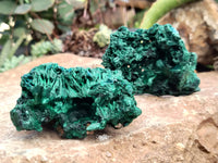 Natural Silky Malachite Specimens x 9 From Kasompe, Congo - Toprock Gemstones and Minerals 