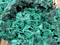 Natural Silky Malachite Specimens x 9 From Kasompe, Congo - Toprock Gemstones and Minerals 