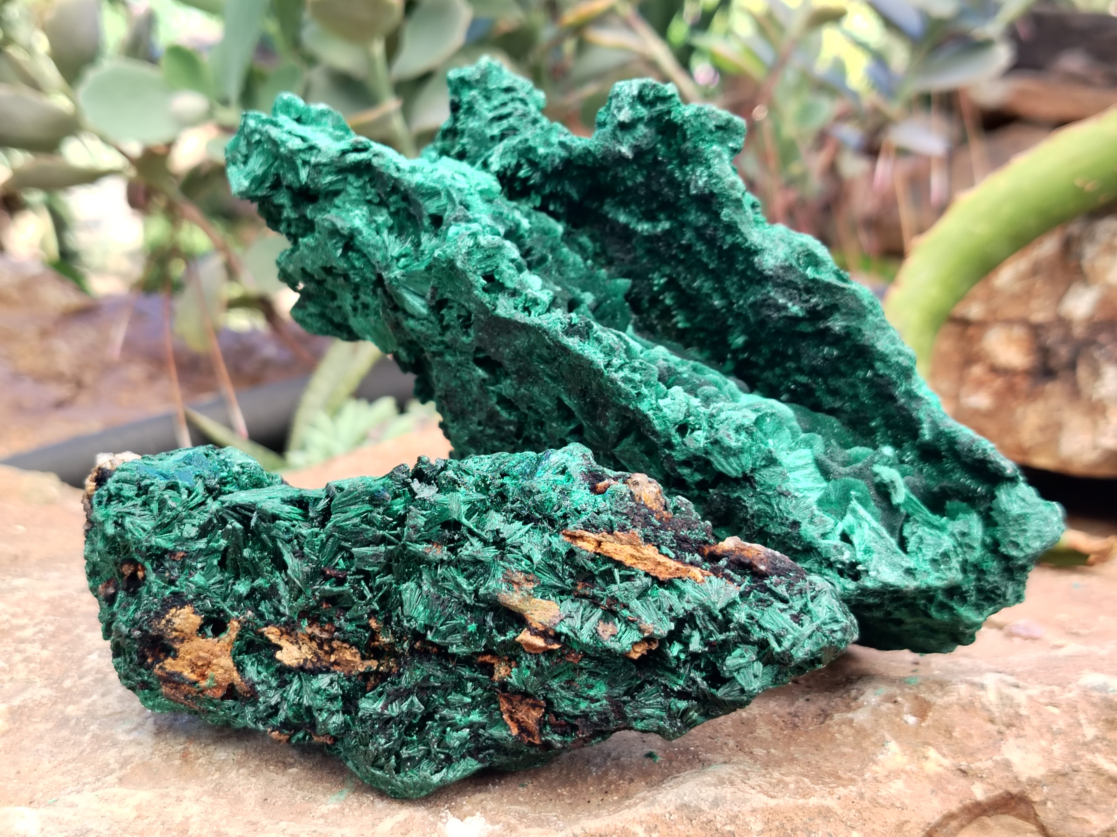 Natural Silky Malachite Specimens x 9 From Kasompe, Congo - Toprock Gemstones and Minerals 