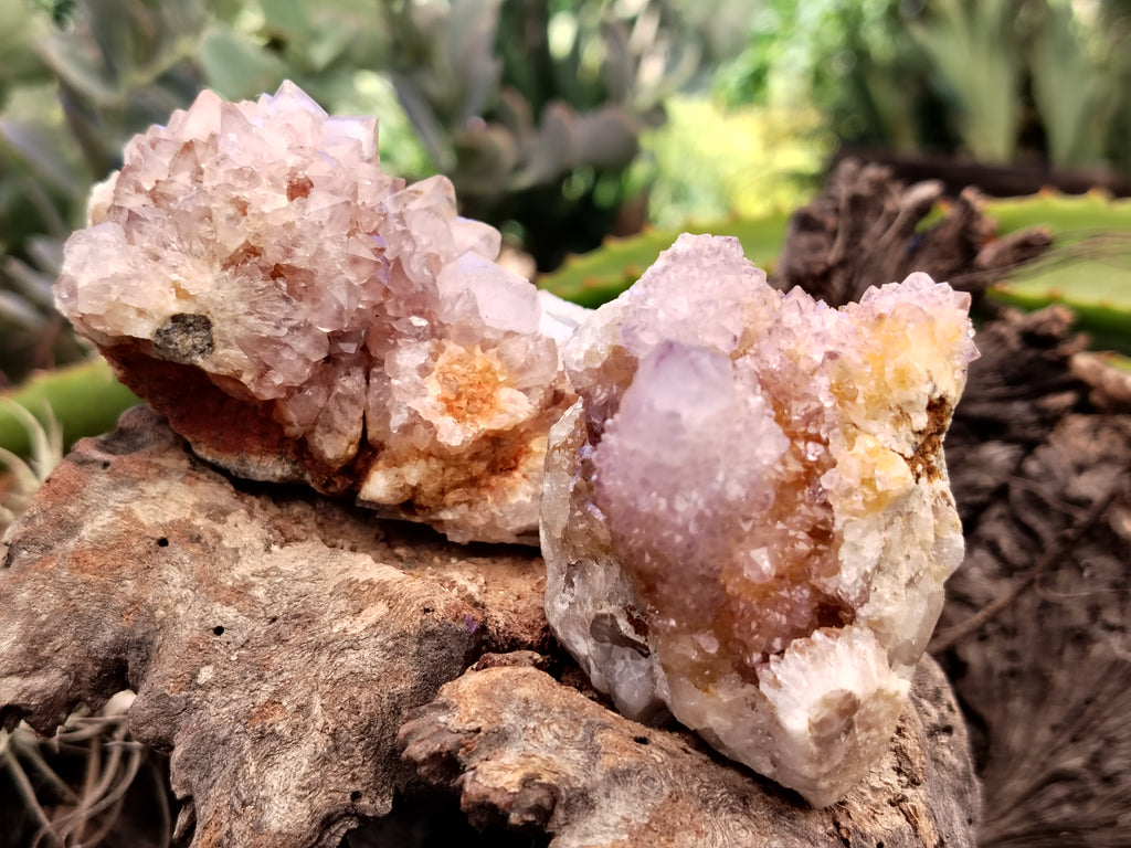 Natural Ametrine Spirit Quartz Clusters x 6 From Boekenhouthoek, South Africa - Toprock Gemstones and Minerals 