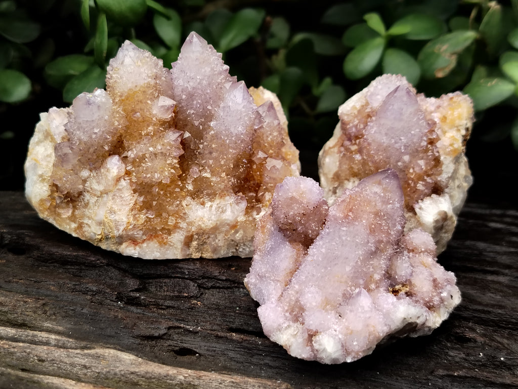 Natural Ametrine Spirit Quartz Clusters x 6 From Boekenhouthoek, South Africa - Toprock Gemstones and Minerals 