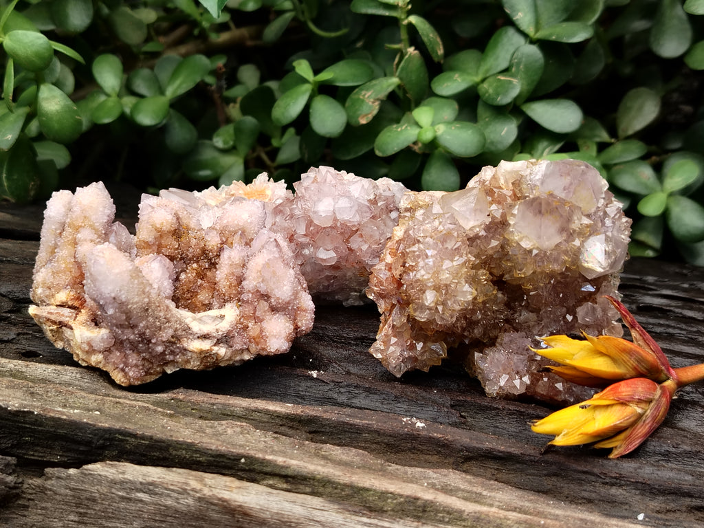 Natural Ametrine Spirit Quartz Clusters x 6 From Boekenhouthoek, South Africa - Toprock Gemstones and Minerals 