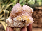 Natural Ametrine Spirit Quartz Clusters x 6 From Boekenhouthoek, South Africa - Toprock Gemstones and Minerals 