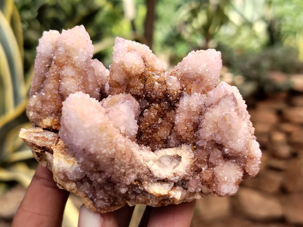 Natural Ametrine Spirit Quartz Clusters x 6 From Boekenhouthoek, South Africa - Toprock Gemstones and Minerals 