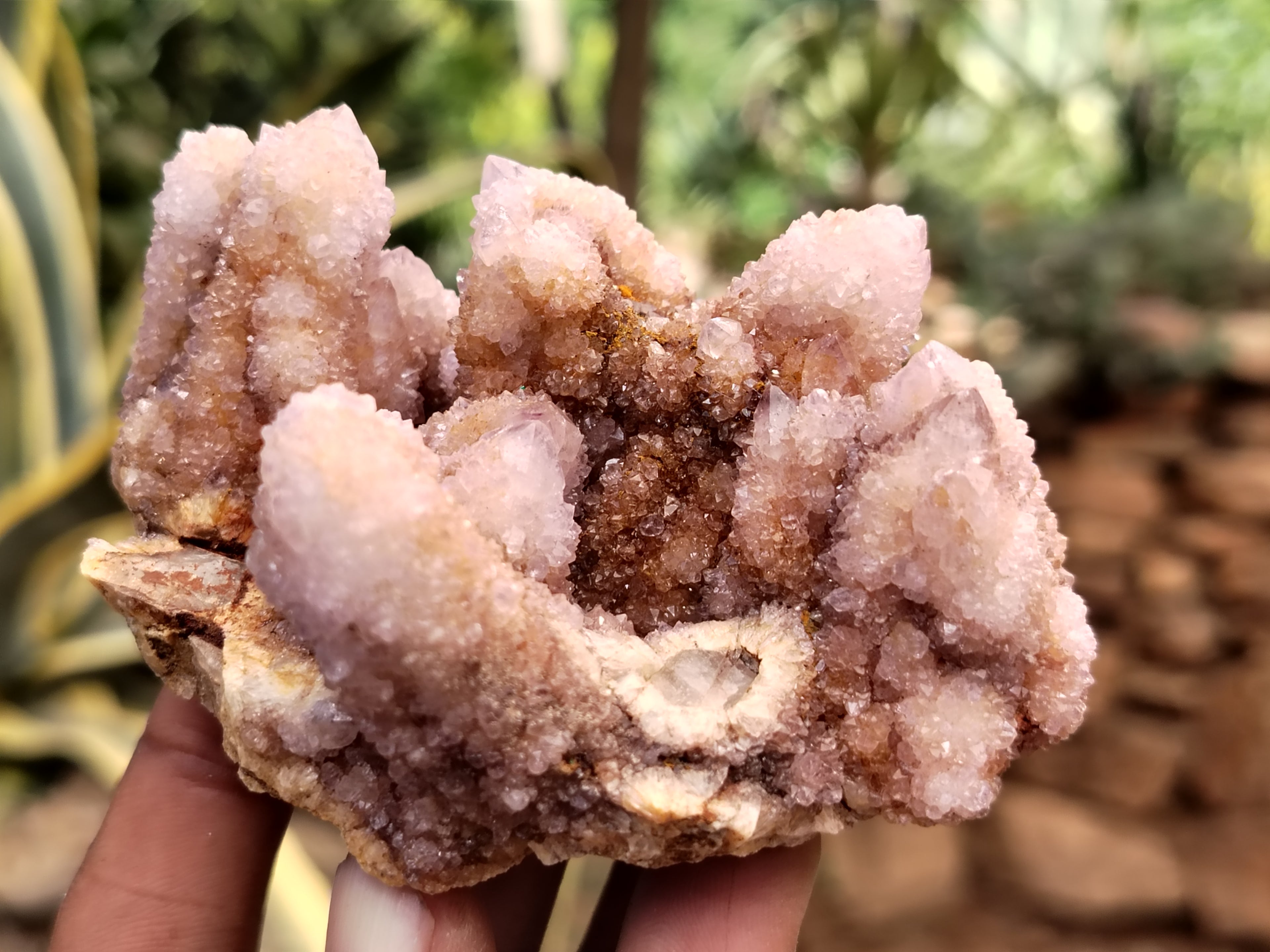 Natural Ametrine Spirit Quartz Clusters x 6 From Boekenhouthoek, South Africa - Toprock Gemstones and Minerals 