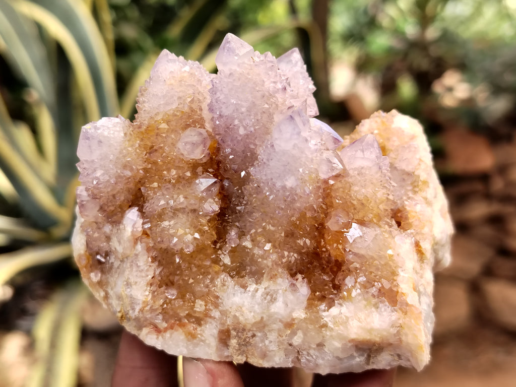 Natural Ametrine Spirit Quartz Clusters x 6 From Boekenhouthoek, South Africa - Toprock Gemstones and Minerals 
