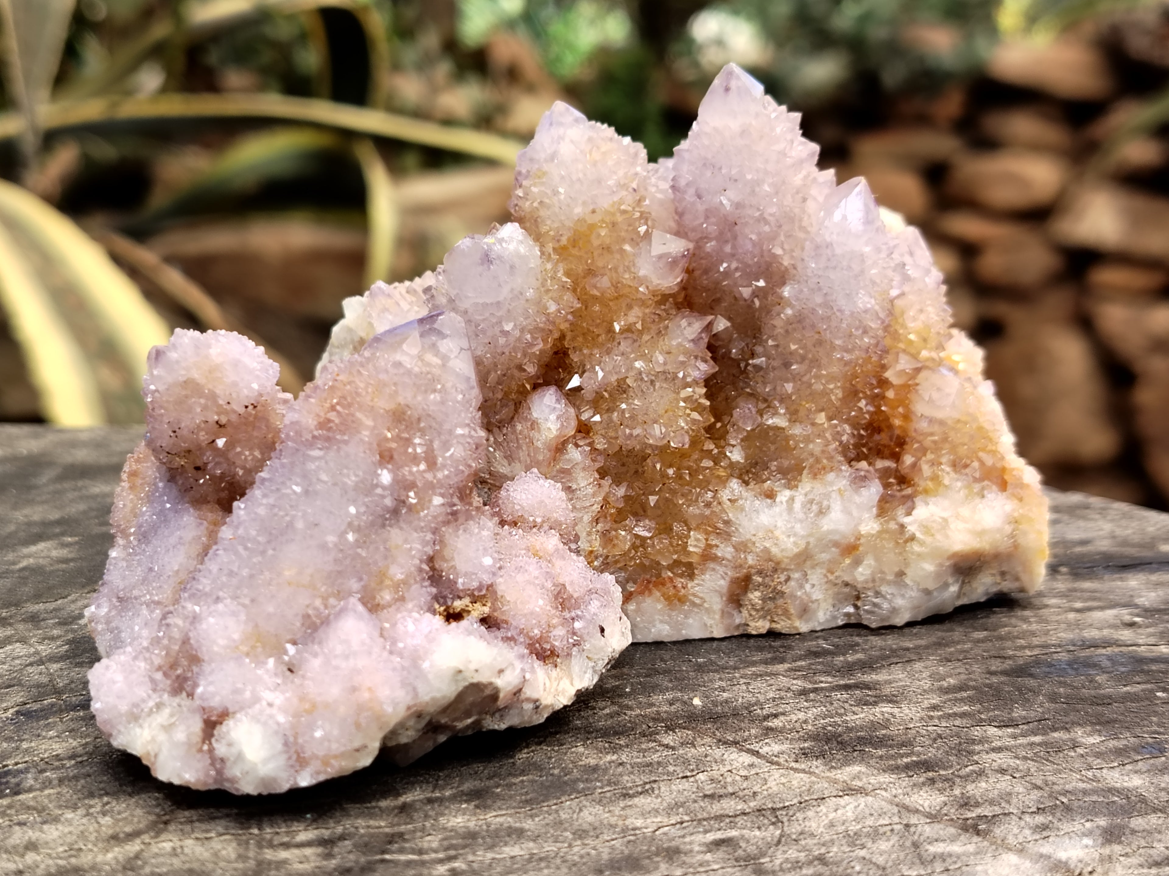 Natural Ametrine Spirit Quartz Clusters x 6 From Boekenhouthoek, South Africa - Toprock Gemstones and Minerals 