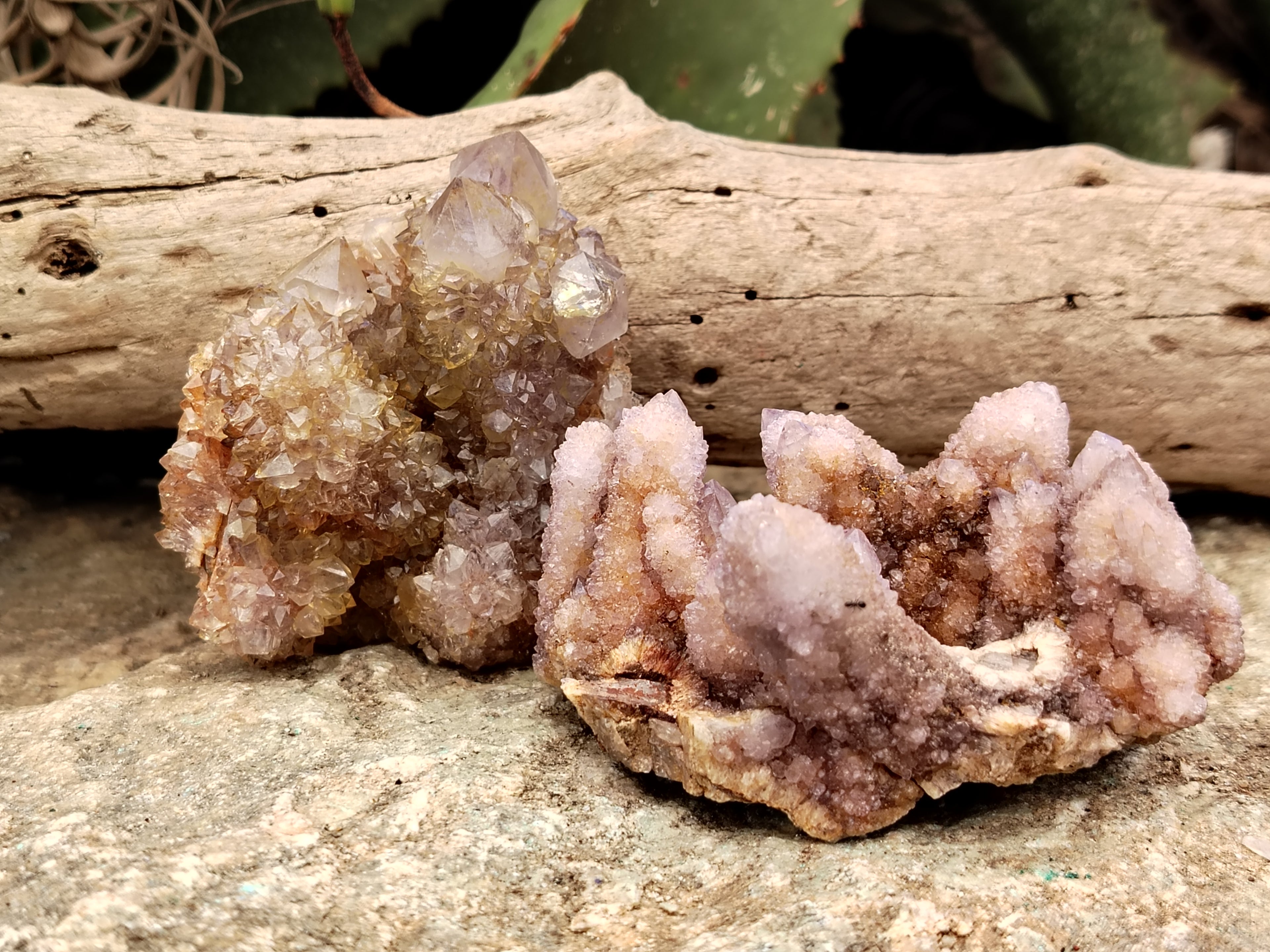 Natural Ametrine Spirit Quartz Clusters x 6 From Boekenhouthoek, South Africa - Toprock Gemstones and Minerals 