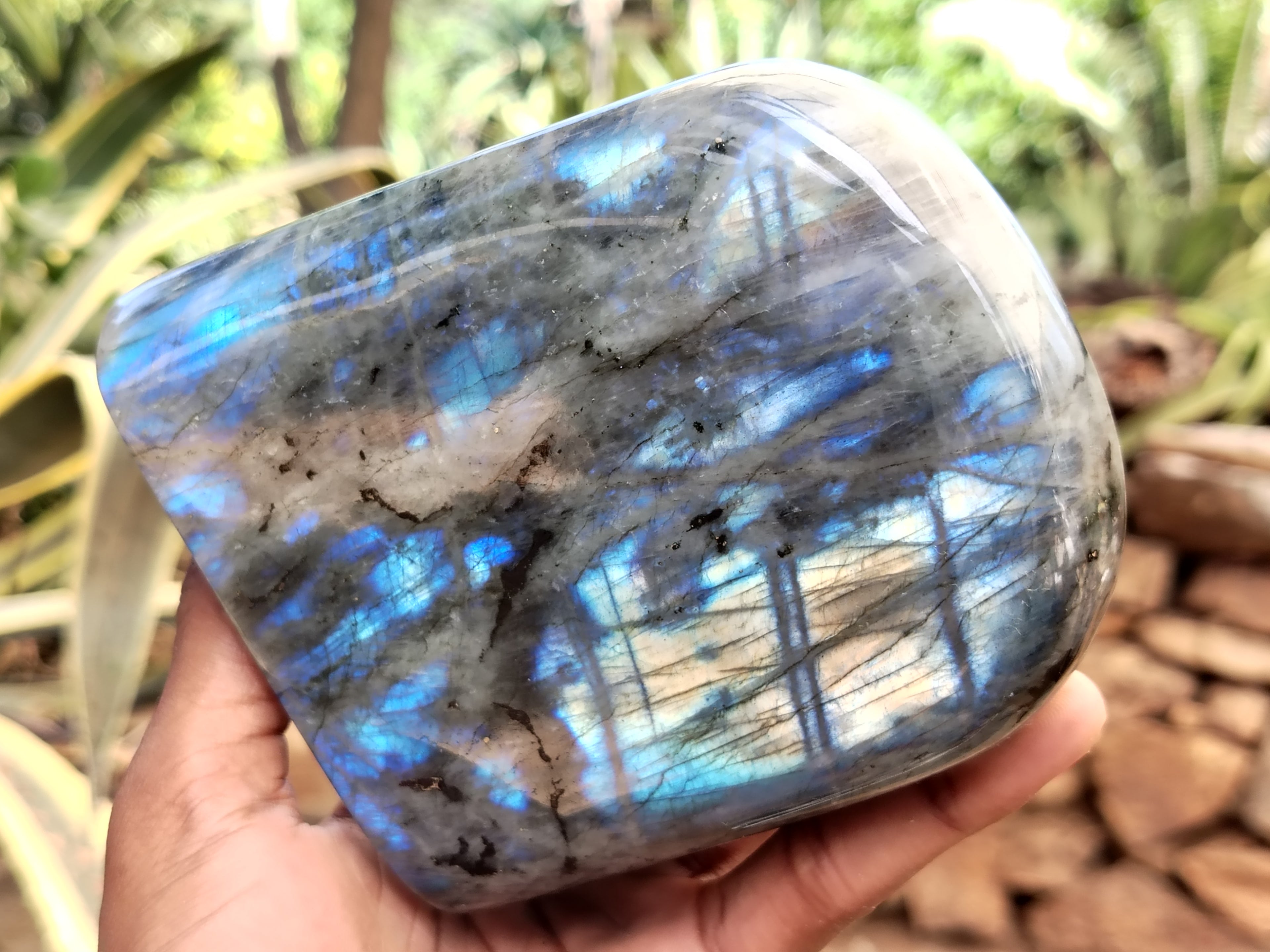 Polished Labradorite Standing Free Forms x 2 From Tulear, Madagascar - Toprock Gemstones and Minerals 