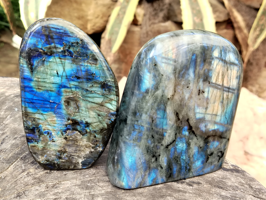 Polished Labradorite Standing Free Forms x 2 From Tulear, Madagascar - Toprock Gemstones and Minerals 