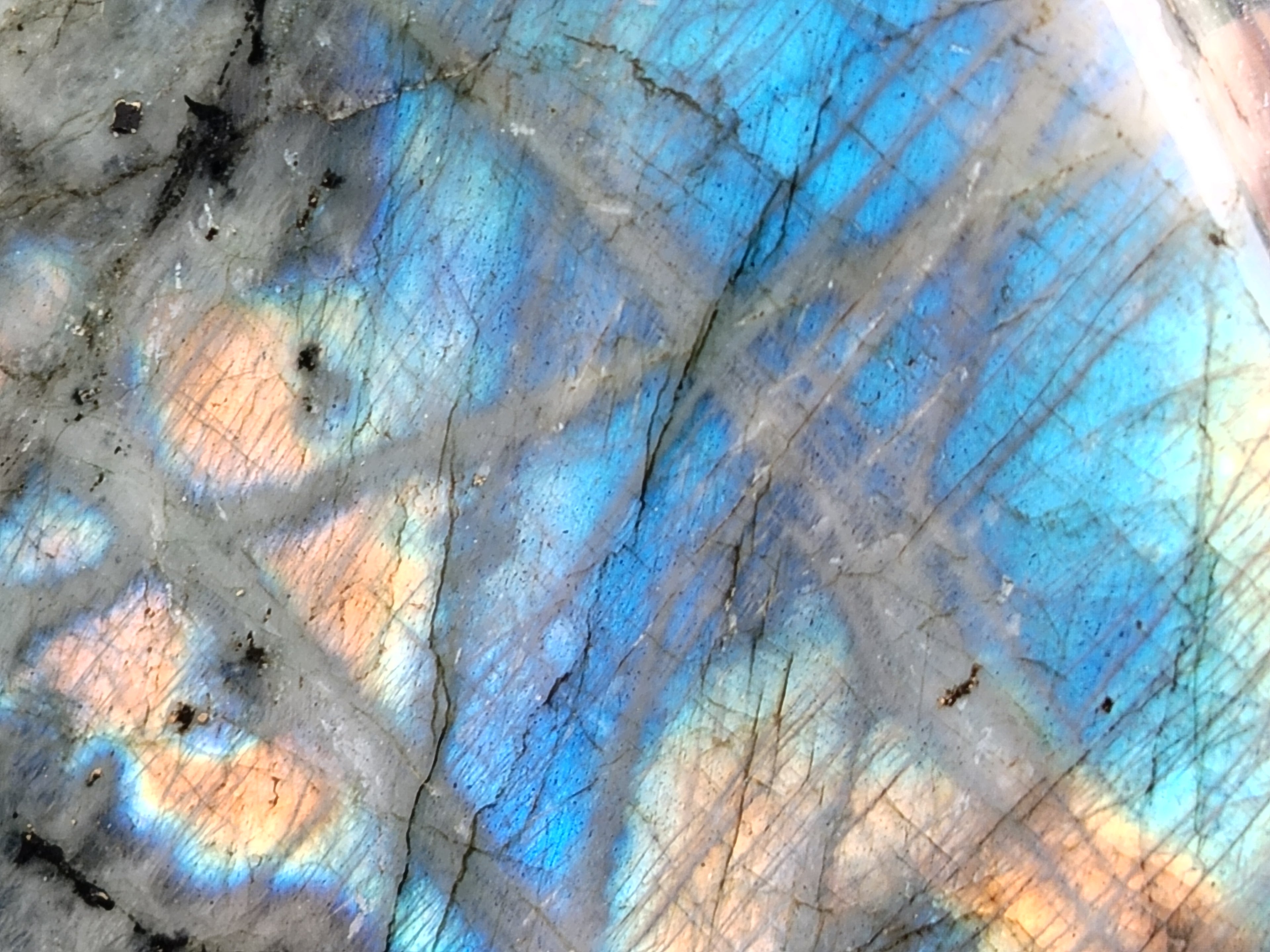 Polished Labradorite Standing Free Forms x 2 From Tulear, Madagascar - Toprock Gemstones and Minerals 