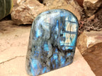 Polished Labradorite Standing Free Forms x 2 From Tulear, Madagascar - Toprock Gemstones and Minerals 