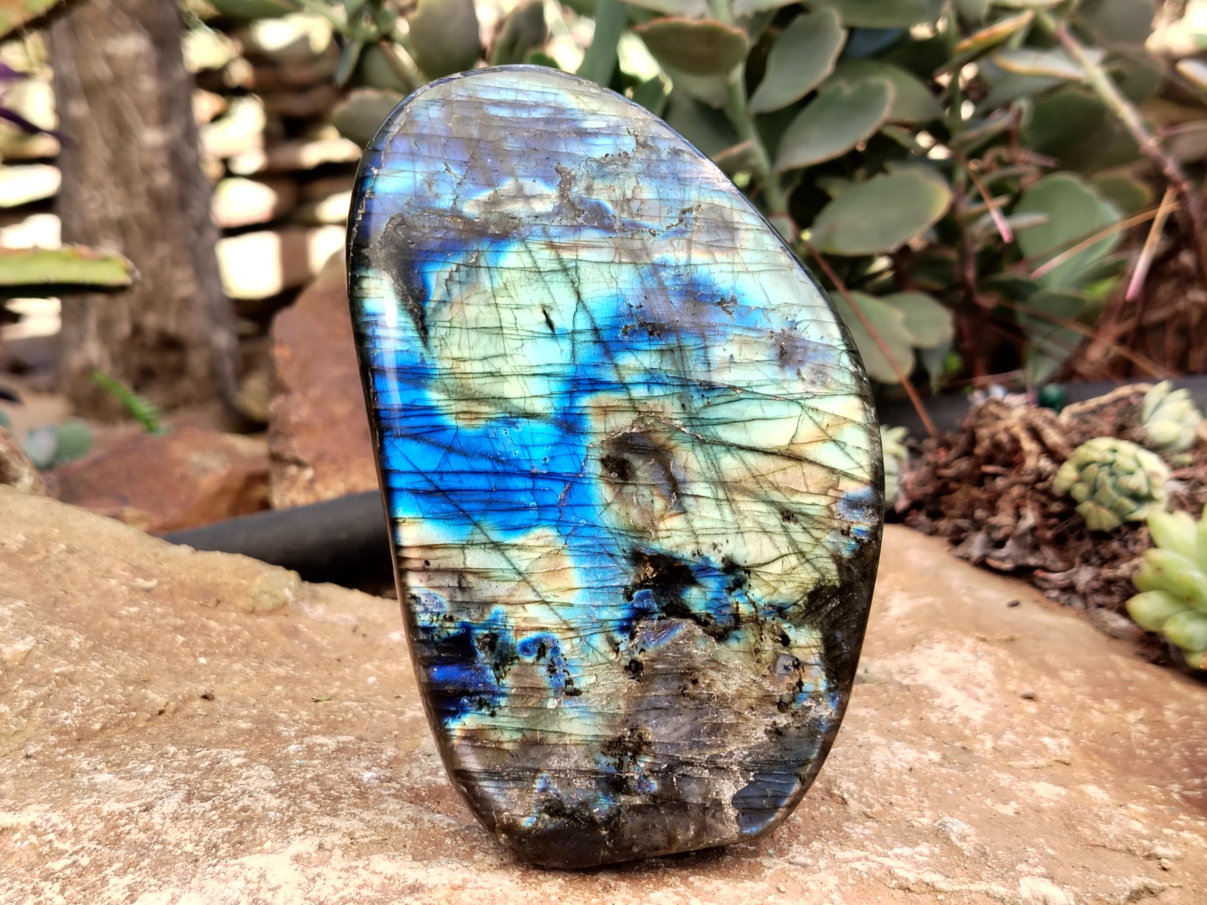 Polished Labradorite Standing Free Forms x 2 From Tulear, Madagascar - Toprock Gemstones and Minerals 