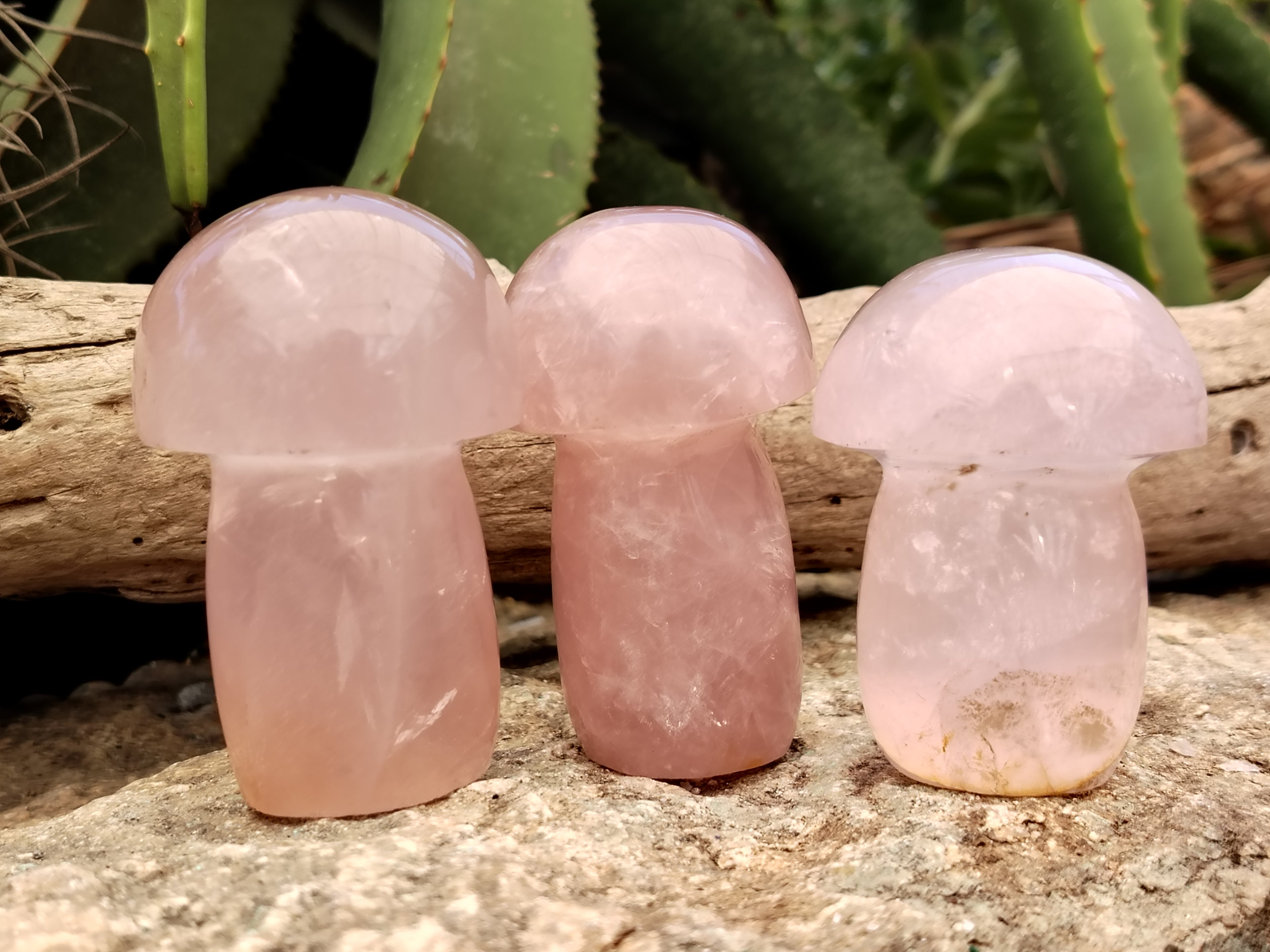 Polished Rose Quartz Mushrooms x 6 From Ambatondrazaka, Madagascar - Toprock Gemstones and Minerals 