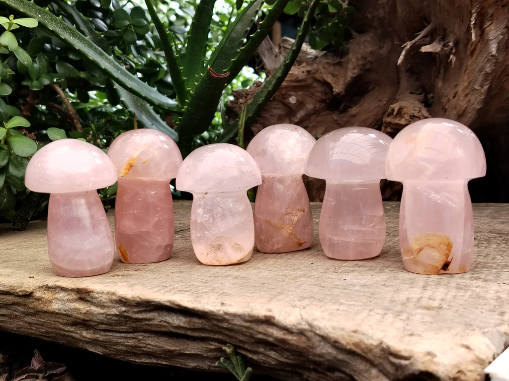 Polished Rose Quartz Mushrooms x 6 From Ambatondrazaka, Madagascar - Toprock Gemstones and Minerals 