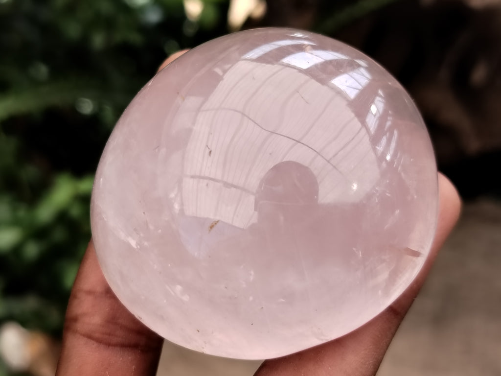 Polished Rose Quartz Mushrooms x 6 From Ambatondrazaka, Madagascar - Toprock Gemstones and Minerals 