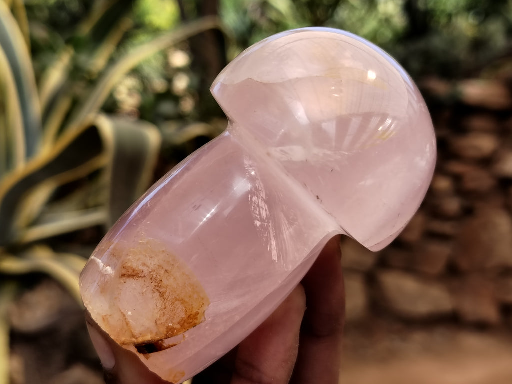 Polished Rose Quartz Mushrooms x 6 From Ambatondrazaka, Madagascar - Toprock Gemstones and Minerals 