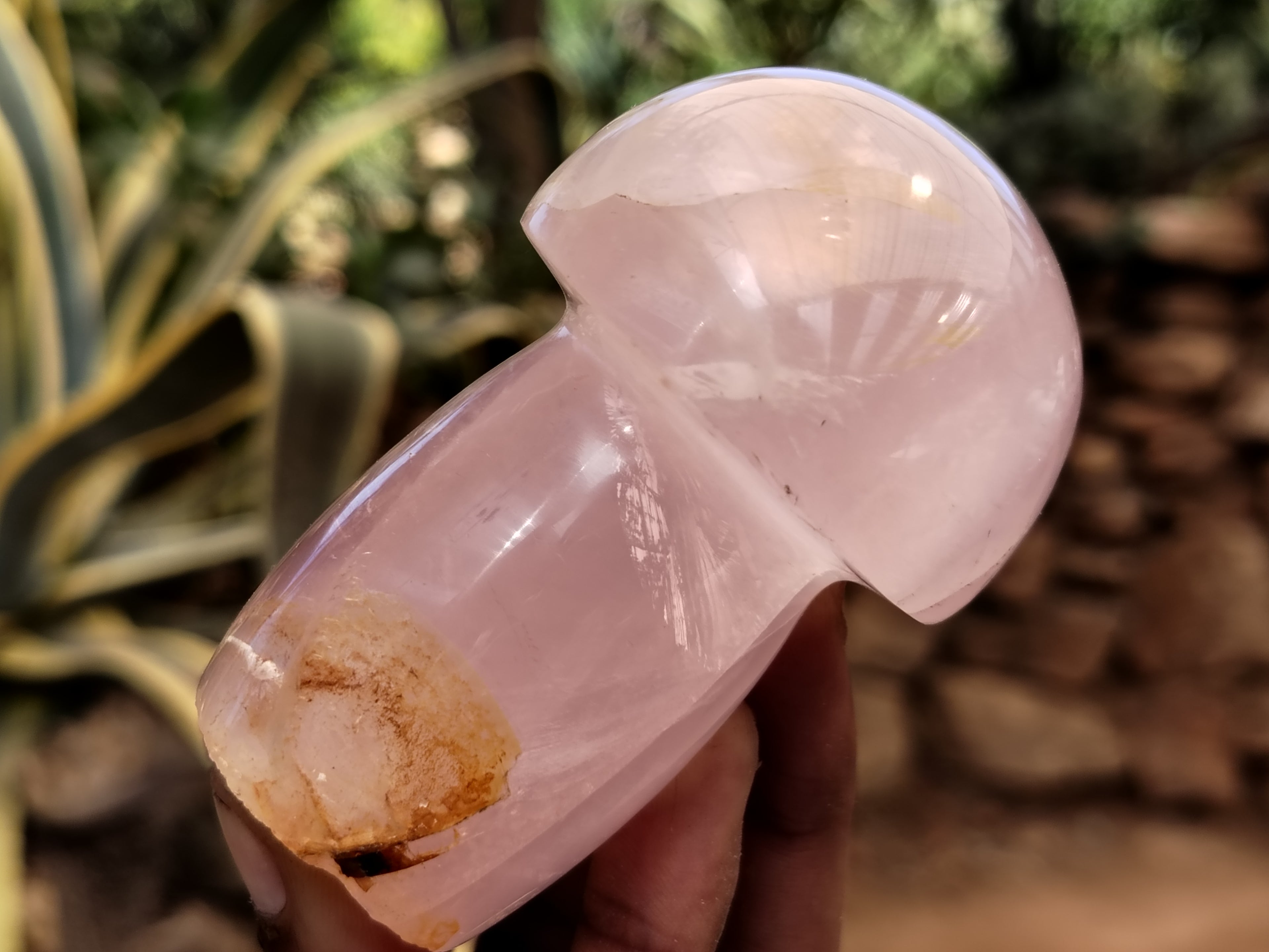 Polished Rose Quartz Mushrooms x 6 From Ambatondrazaka, Madagascar - Toprock Gemstones and Minerals 
