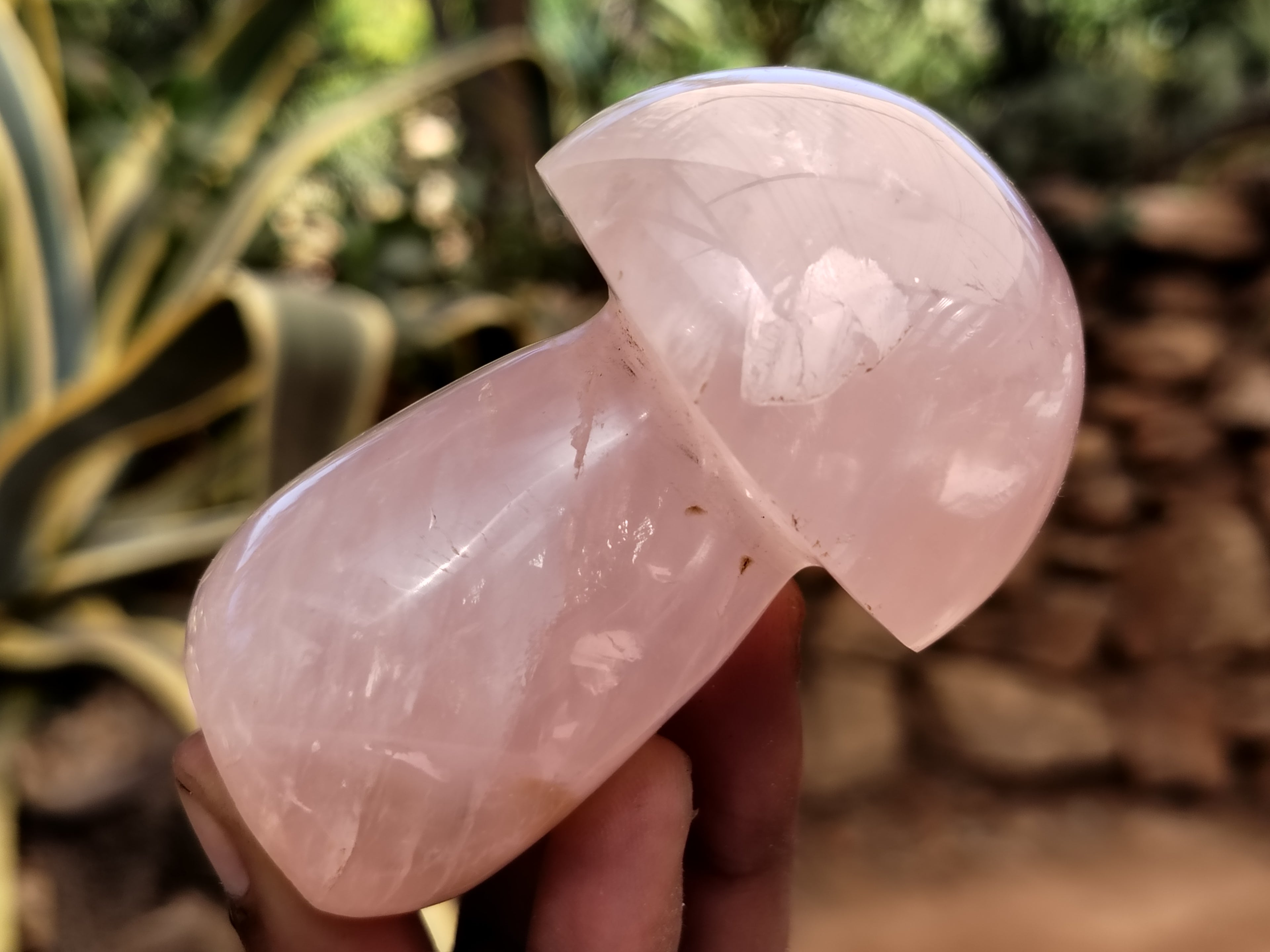 Polished Rose Quartz Mushrooms x 6 From Ambatondrazaka, Madagascar - Toprock Gemstones and Minerals 