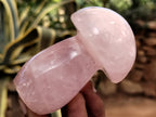 Polished Rose Quartz Mushrooms x 6 From Ambatondrazaka, Madagascar - Toprock Gemstones and Minerals 