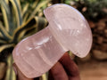 Polished Rose Quartz Mushrooms x 6 From Ambatondrazaka, Madagascar - Toprock Gemstones and Minerals 