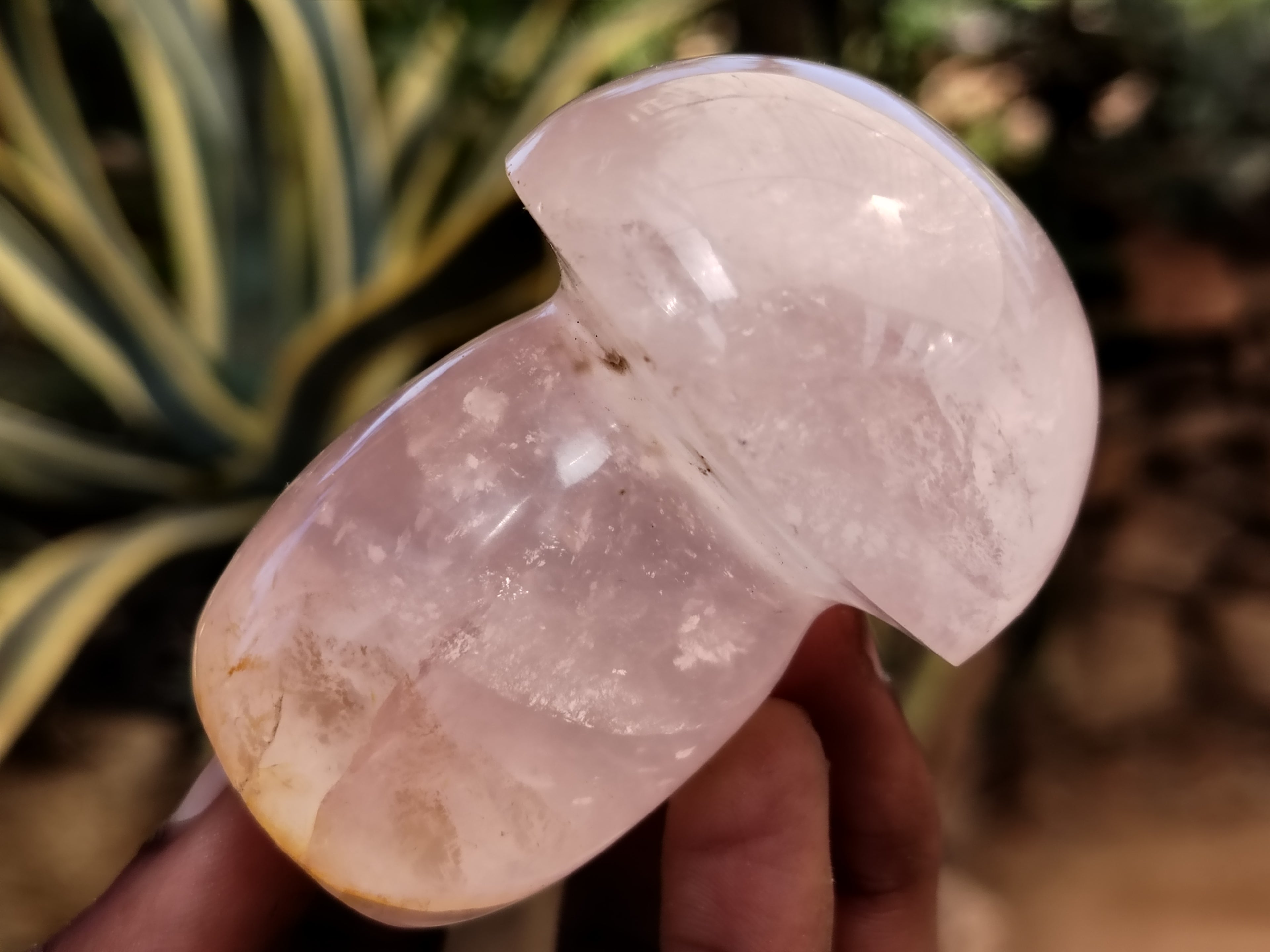 Polished Rose Quartz Mushrooms x 6 From Ambatondrazaka, Madagascar - Toprock Gemstones and Minerals 