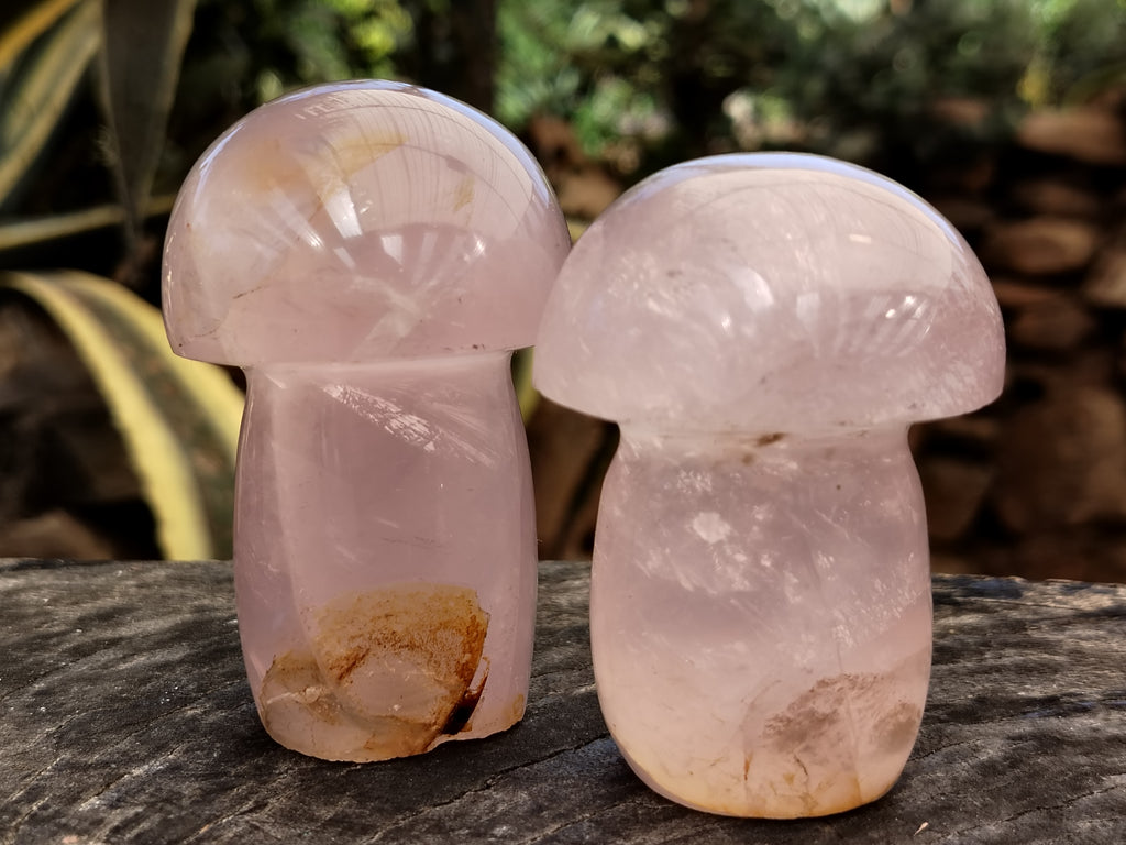 Polished Rose Quartz Mushrooms x 6 From Ambatondrazaka, Madagascar - Toprock Gemstones and Minerals 
