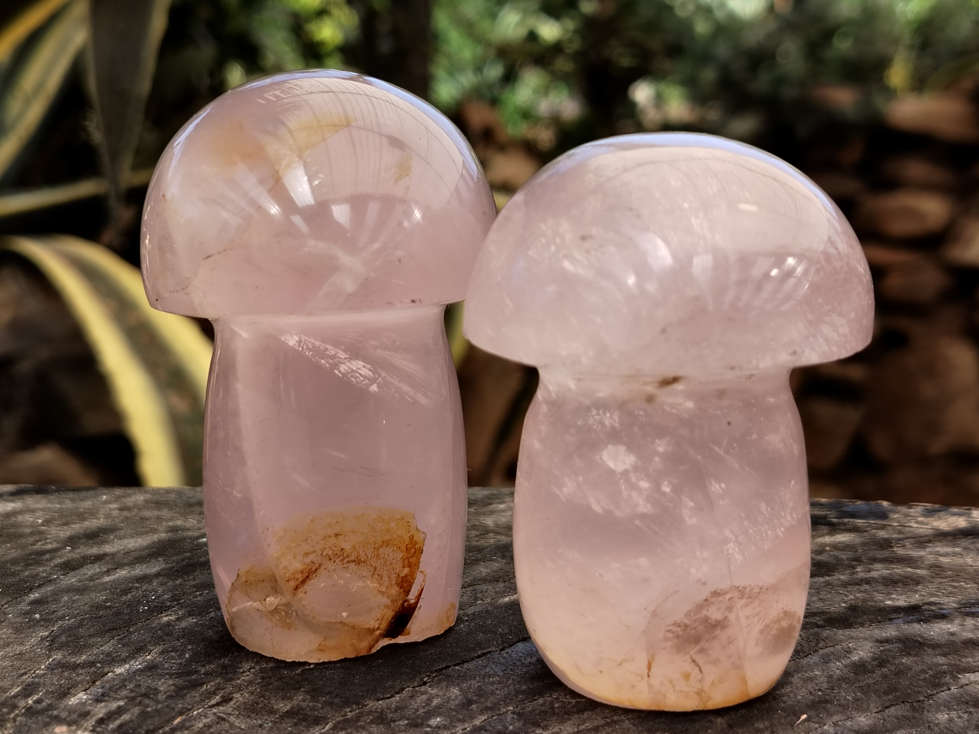 Polished Rose Quartz Mushrooms x 6 From Ambatondrazaka, Madagascar - Toprock Gemstones and Minerals 