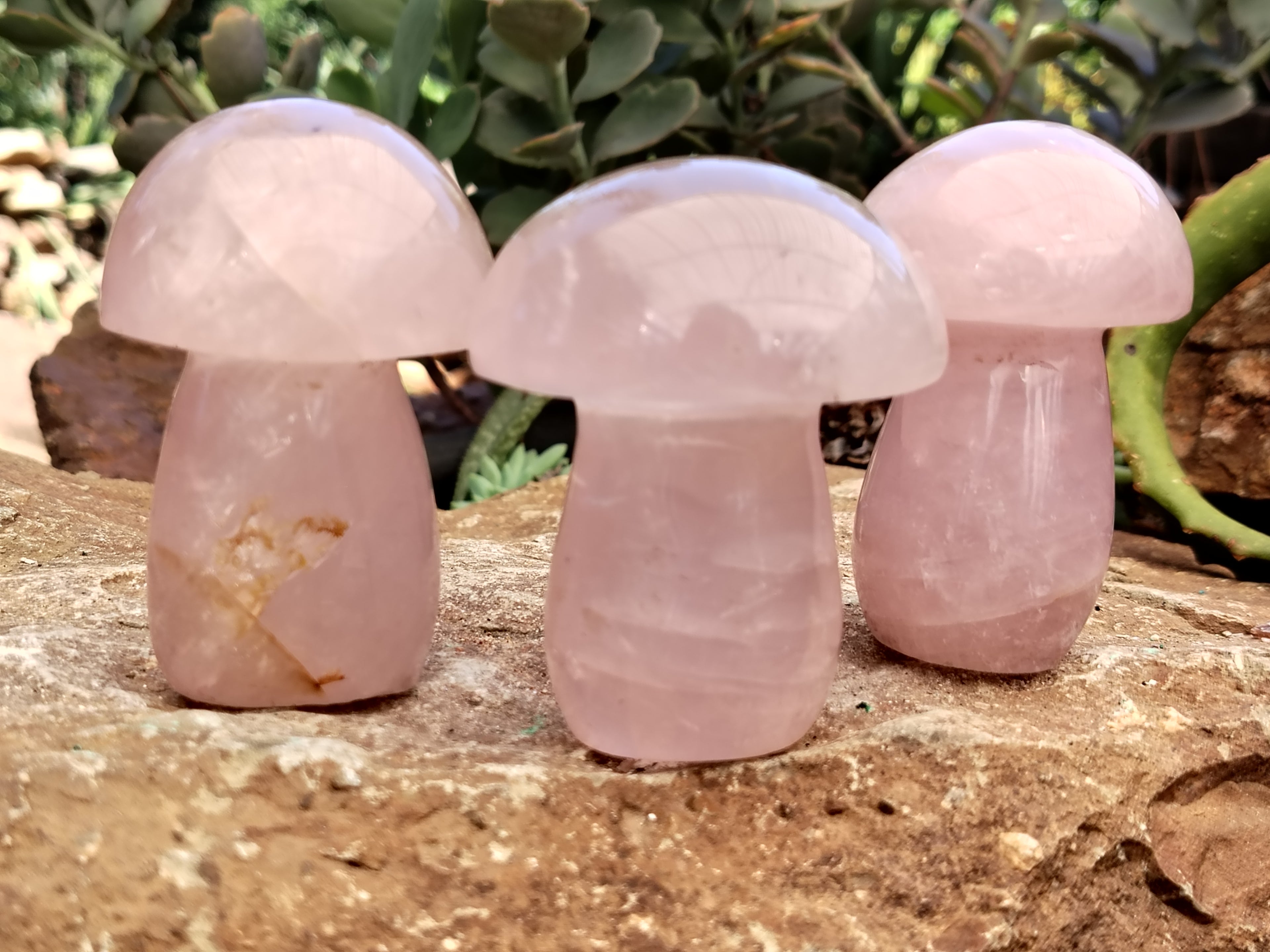 Polished Rose Quartz Mushrooms x 6 From Ambatondrazaka, Madagascar - Toprock Gemstones and Minerals 