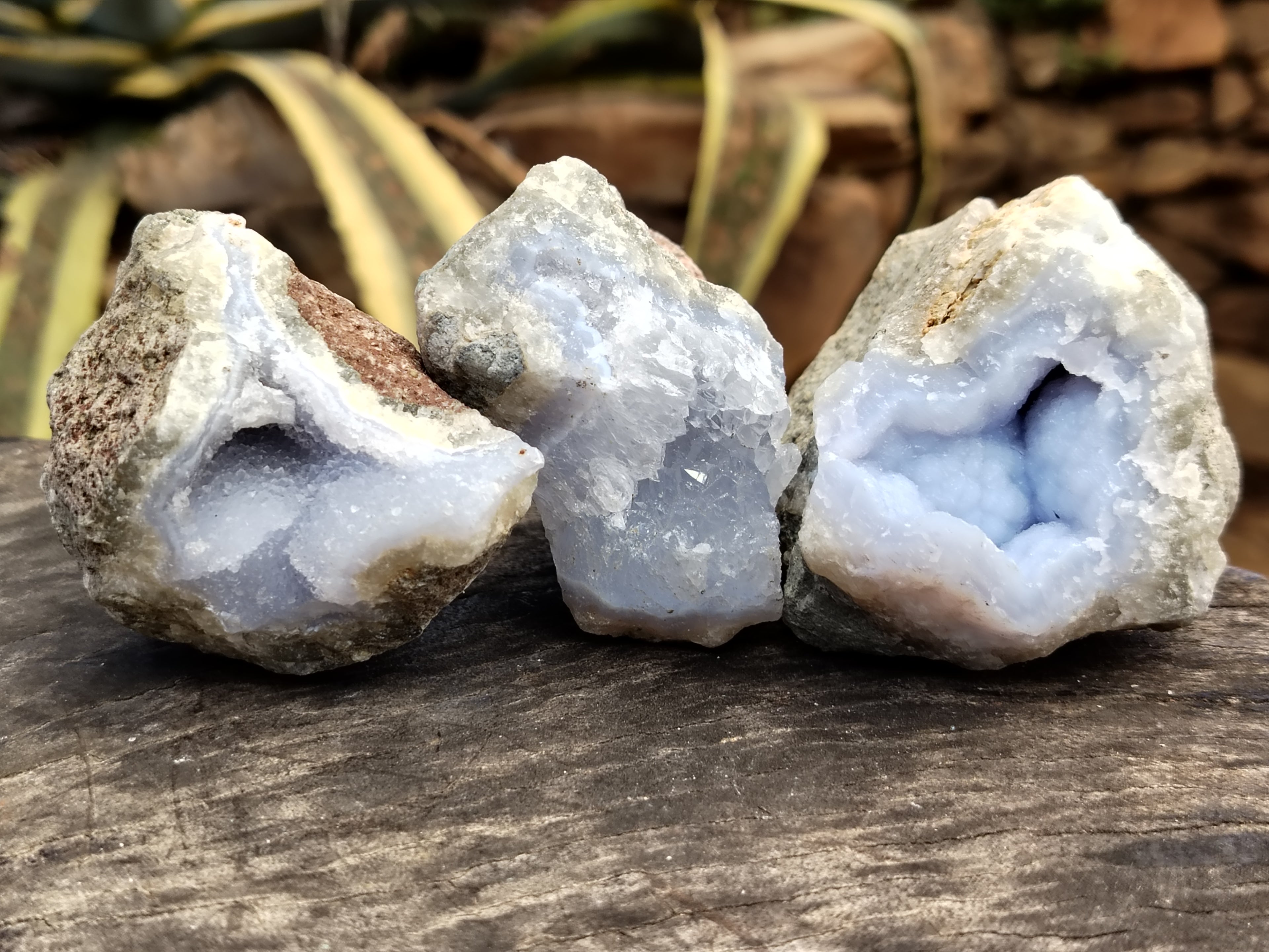 Natural Blue Lace Agate Geode Specimens x 12 From Nsanje, Malawi - Toprock Gemstones and Minerals 