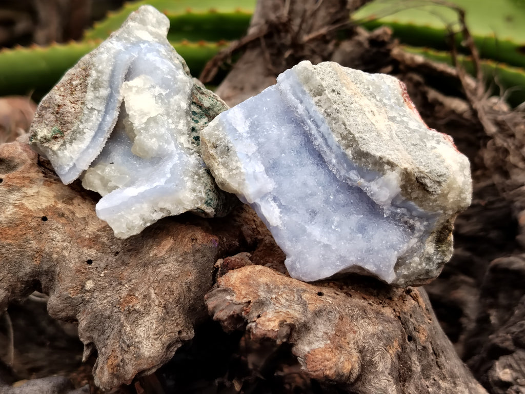Natural Blue Lace Agate Geode Specimens x 12 From Nsanje, Malawi - Toprock Gemstones and Minerals 