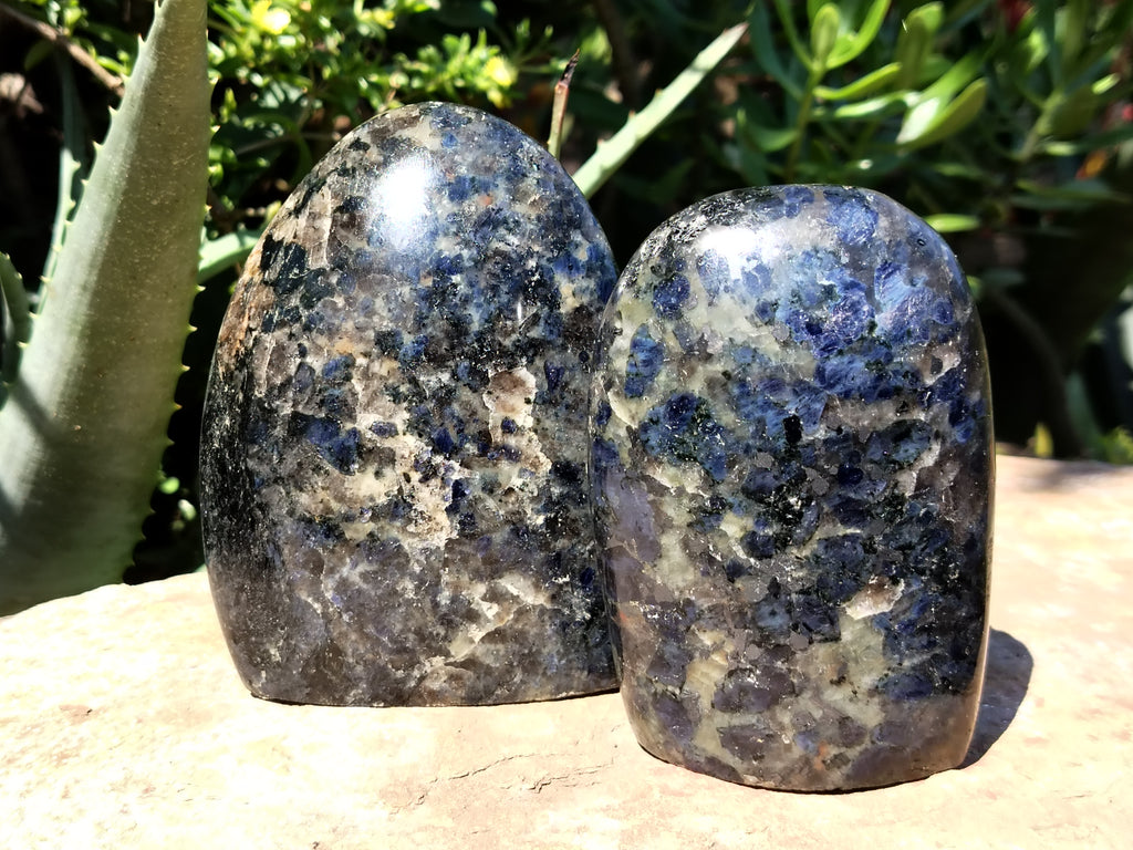 Polished Iolite Standing Free Forms x 2 From Ambatofinandrahana, Madagascar - Toprock Gemstones and Minerals 