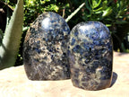 Polished Iolite Standing Free Forms x 2 From Ambatofinandrahana, Madagascar - Toprock Gemstones and Minerals 