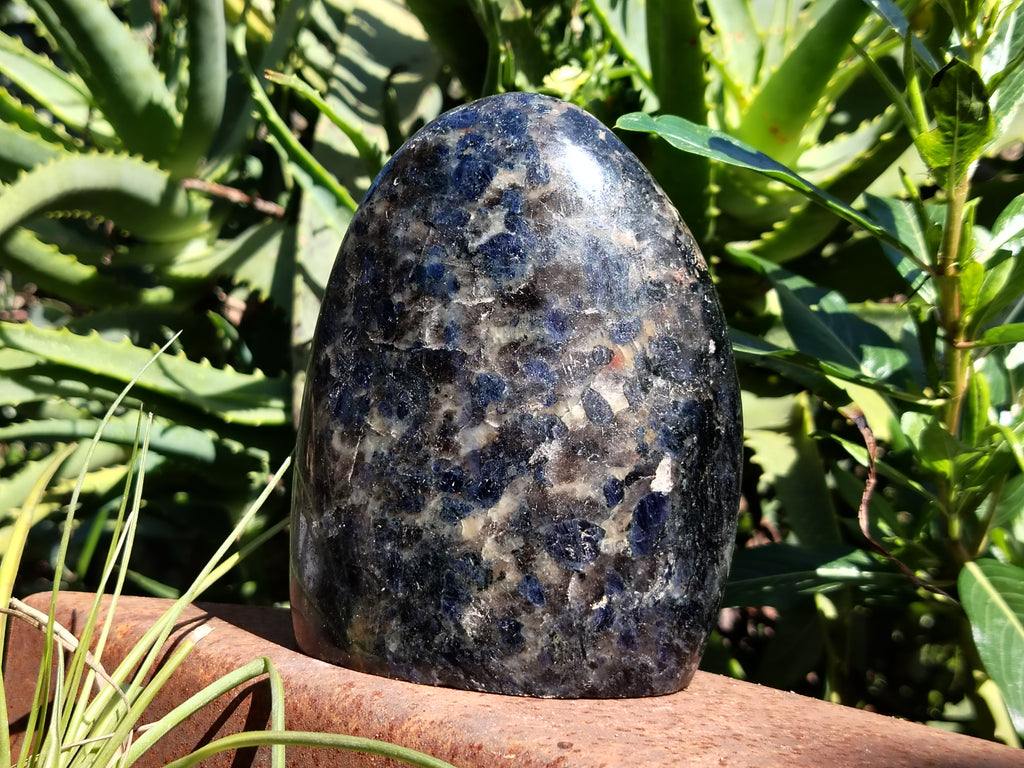 Polished Iolite Standing Free Forms x 2 From Ambatofinandrahana, Madagascar - Toprock Gemstones and Minerals 