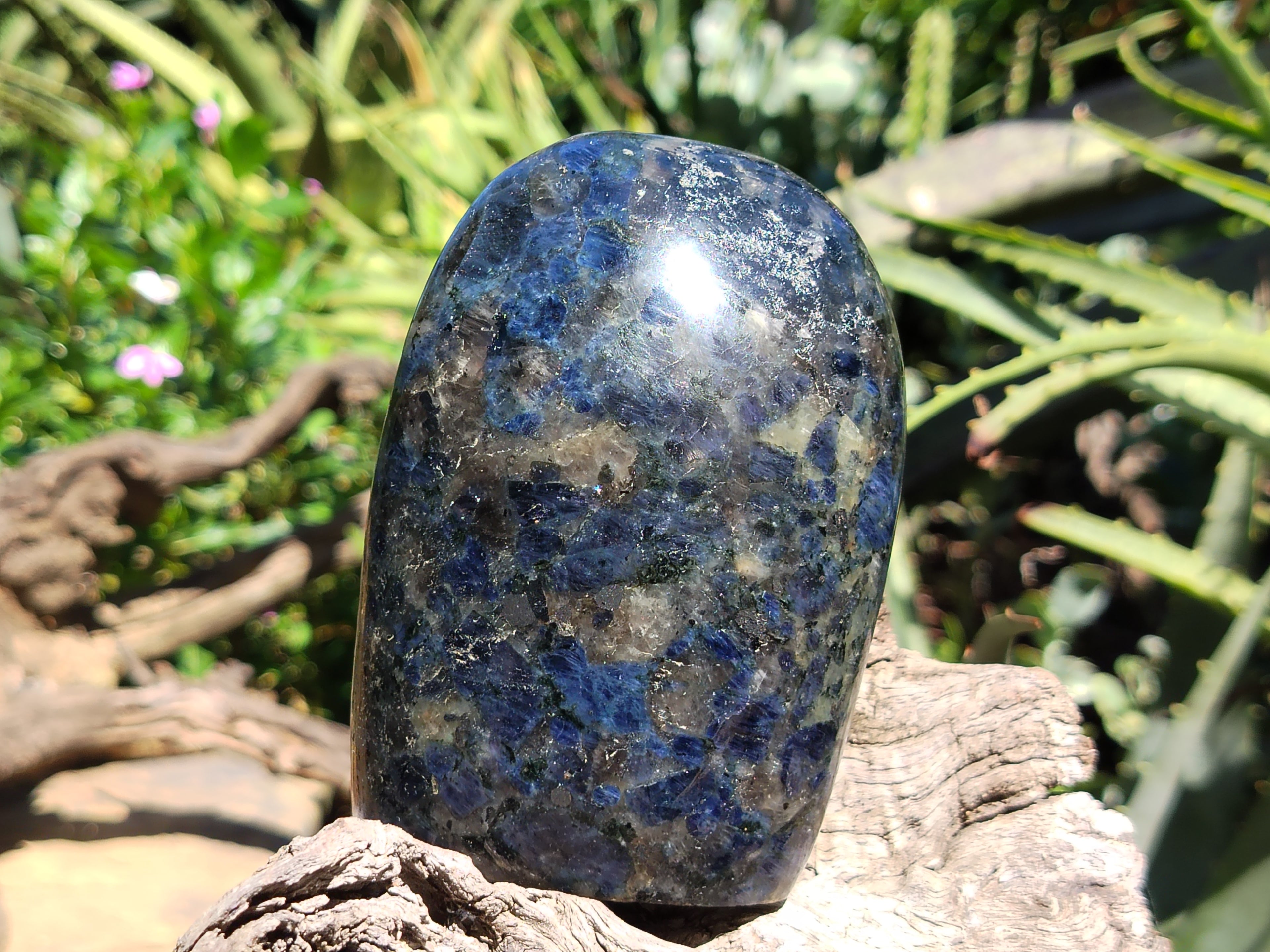 Polished Iolite Standing Free Forms x 2 From Ambatofinandrahana, Madagascar - Toprock Gemstones and Minerals 