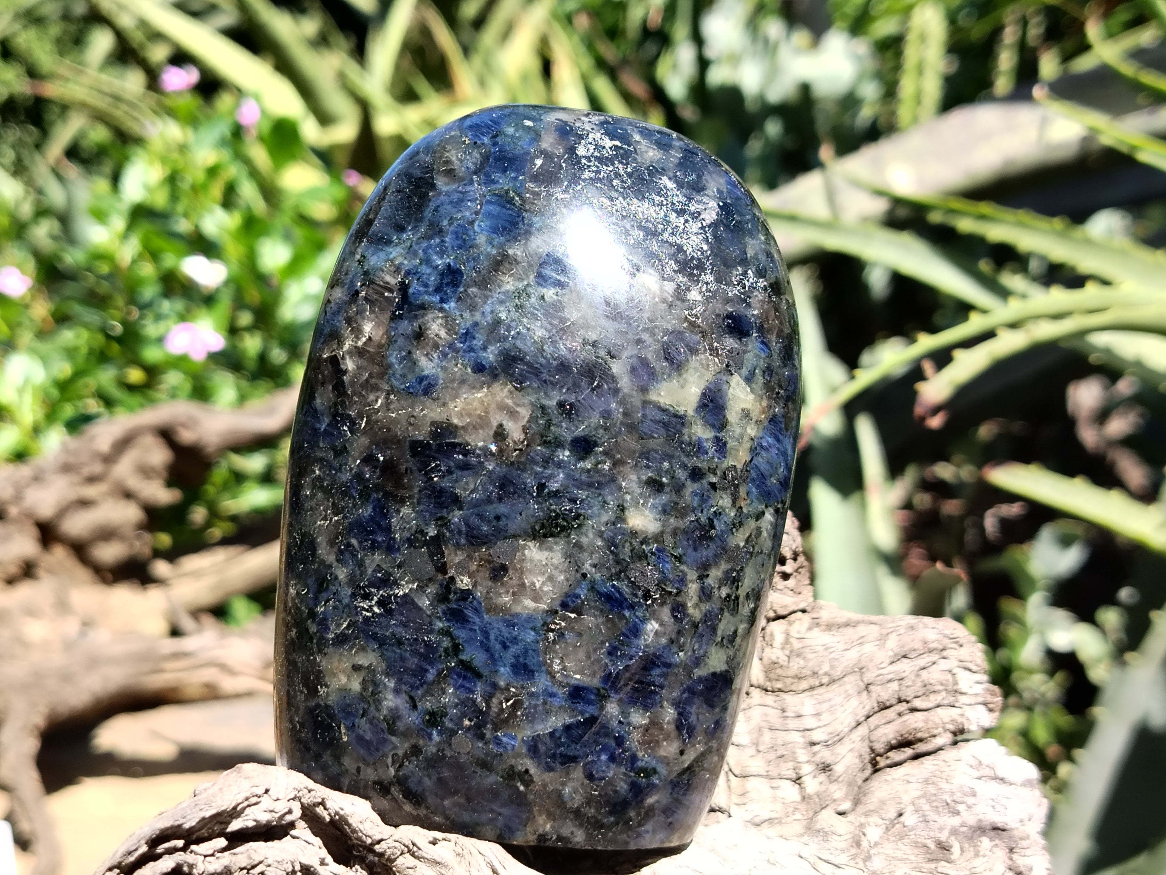Polished Iolite Standing Free Forms x 2 From Ambatofinandrahana, Madagascar - Toprock Gemstones and Minerals 