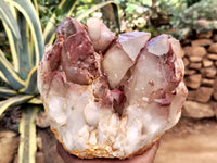 Natural Red Hematoid Quartz Cluster x 1 From Karoi, Zimbabwe - Toprock Gemstones and Minerals 
