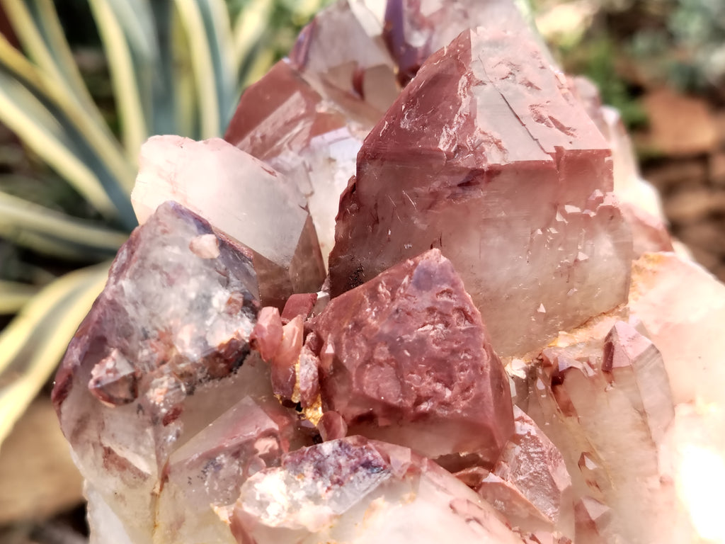 Natural Red Hematoid Quartz Cluster x 1 From Karoi, Zimbabwe - Toprock Gemstones and Minerals 