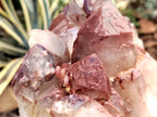 Natural Red Hematoid Quartz Cluster x 1 From Karoi, Zimbabwe - Toprock Gemstones and Minerals 