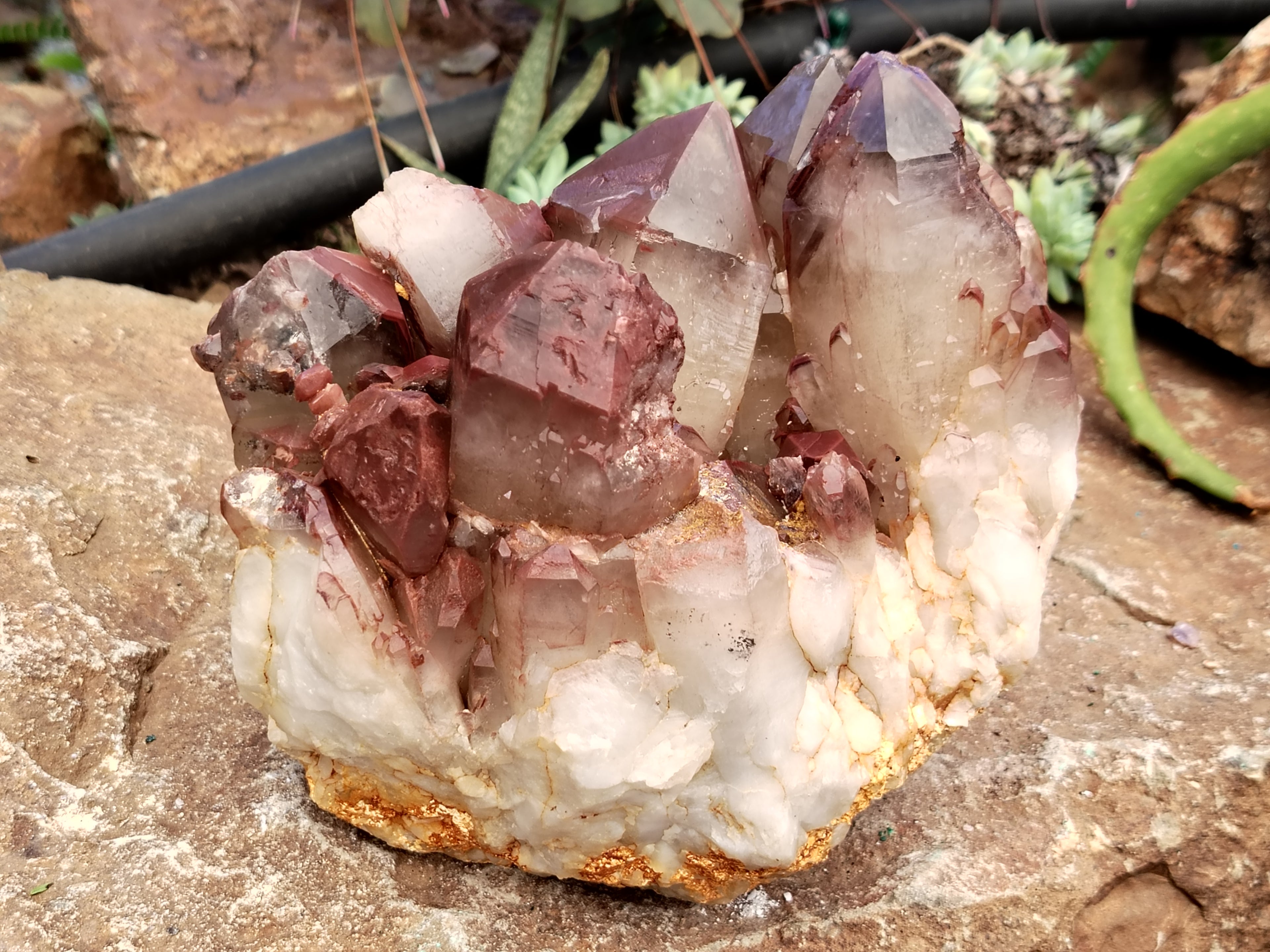 Natural Red Hematoid Quartz Cluster x 1 From Karoi, Zimbabwe - Toprock Gemstones and Minerals 