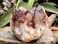 Natural Red Hematoid Quartz Cluster x 1 From Karoi, Zimbabwe - Toprock Gemstones and Minerals 