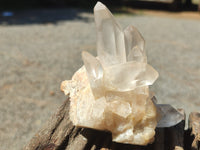 Natural Clear Quartz Clusters x 7 from Madagascar - Toprock Gemstones and Minerals 