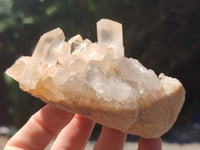 Natural Clear Quartz Clusters x 7 from Madagascar - Toprock Gemstones and Minerals 
