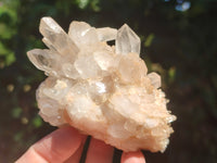 Natural Clear Quartz Clusters x 7 from Madagascar - Toprock Gemstones and Minerals 