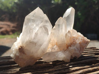 Natural Clear Quartz Clusters x 7 from Madagascar - Toprock Gemstones and Minerals 